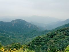 -大岭沟猕猴桃谷风景区