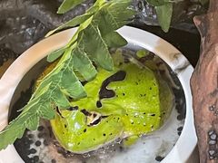 -乌龙爬宠部落(信和购物广场店)