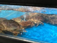 -盒马鲜生(悦峰店)