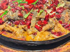 -老板恋上鱼(恒隆广场店)