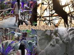 -中国西峡恐龙遗迹园