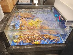 -高佳庄·舟山海鲜(海景旗舰店)