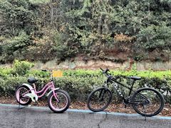 -东钱湖旅游度假区