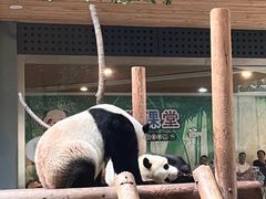-西安秦岭野生动物园