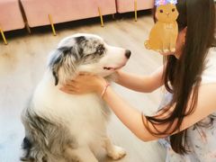 -浣熊柯尔鸭土拨鼠·电玩咖