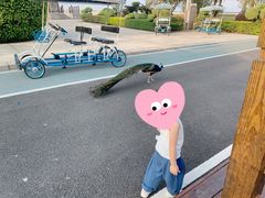 -大湾区中央湿地公园