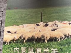 -巴奴毛肚火锅(龙湖锦艺城店)