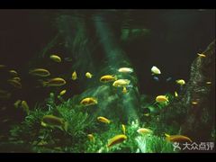 -福州罗源湾海洋世界旅游区