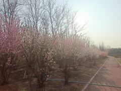 -瀛海足球主题公园