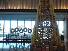 -东方美谷JW万豪酒店·The lounge大堂吧