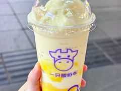 -一只酸奶牛(八一路店)