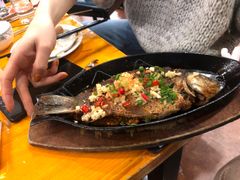 -老黑板筋(顺义总店)