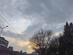 -紫竹院公园-东门停车场