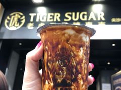 虎虎生風厚鮮奶-老虎堂黑糖专壳 (尖沙咀乐道店)