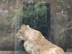 -柳州市动物园