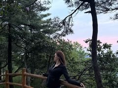 -洛阳白云山景区