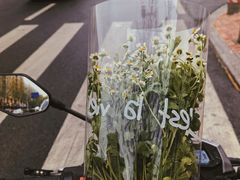 -雪蔓之鲜花气球派对(家佳源时代中心店)