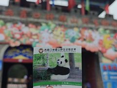 -西霞口神雕山野生动物世界