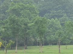 -钟山体育运动公园