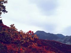 -周口店坡峰岭风景区