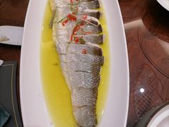 -鲁宴·鲁煨黄河生态大鲤鱼(月坛店)