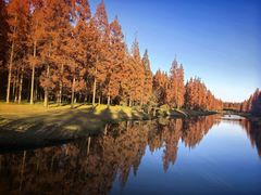 -黄海国家森林公园