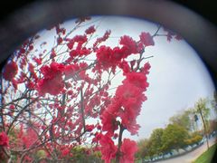 -咸阳湖景区-统一广场