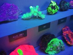 -湖南省地质博物馆