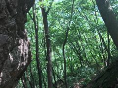 -天女山森林公园