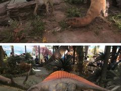 -湖南省地质博物馆