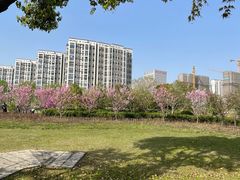 -石湖景区