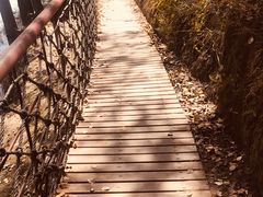 -中华三祖圣地黄帝城遗址文化旅游区