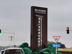 -御道口草原森林风景区