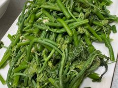 佛手瓜苗-花样宴荟(旺城店)