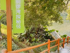 -广州市帽峰山景区