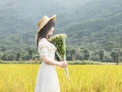 -艾米稻香小镇
