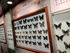 -吉林省自然博物馆