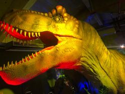 -恐龙探索乐园(磁器口店)