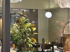 -万达广场(泰安泰山店)