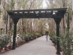 -艾提尕尔清真寺