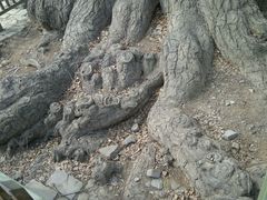 景点-少林寺景区