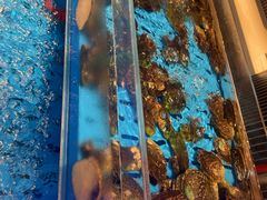 -海底捞火锅(长宁路龙之梦店)