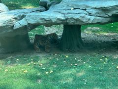 -北京野生动物园