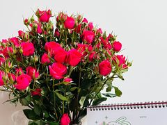 -双季花艺园艺市场(浦东店)