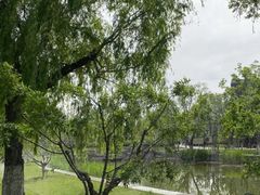-西海子公园