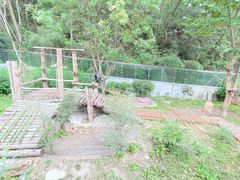 -黔灵山公园