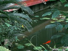 -大妙火锅·非物质文化遗产(东湖公园店)