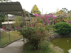-朝伟清真铜瓢牛肉馆(三十年老·店)
