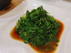 酒香菜头-江仙雅居(苏州桥店)