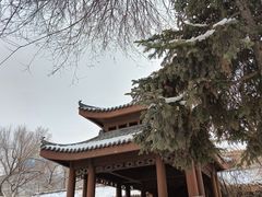 -哈尔滨文化公园